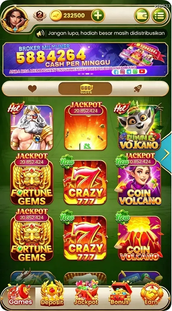 vip333 APK